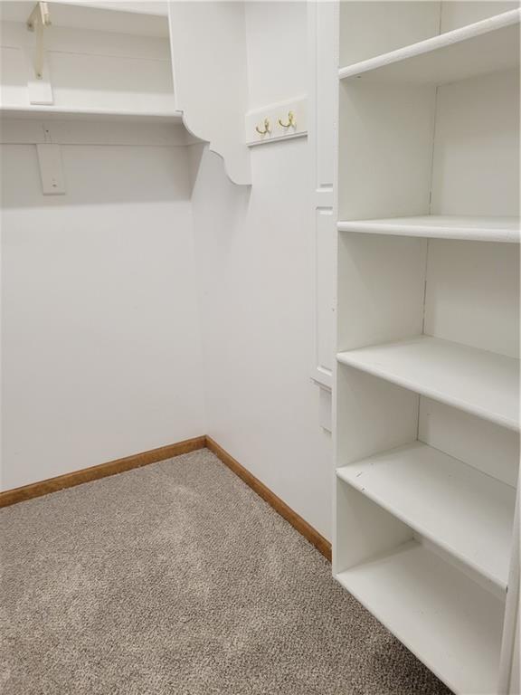 walk in closet featuring carpet flooring
