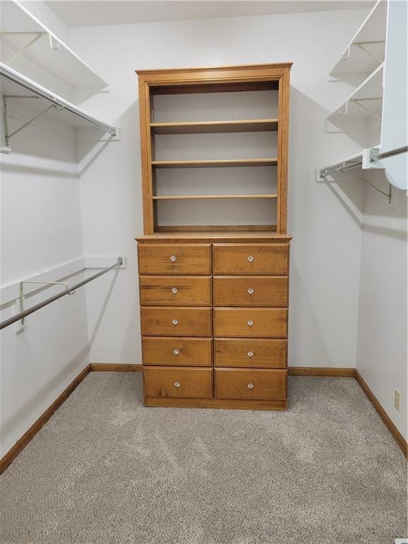 spacious closet featuring carpet floors