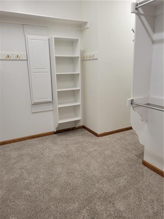 spacious closet featuring carpet flooring