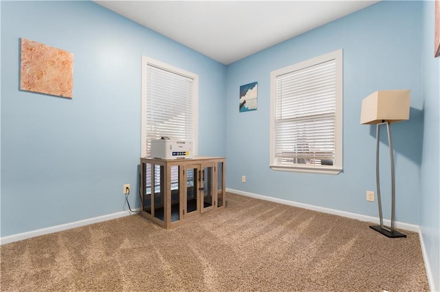 spare room featuring carpet floors