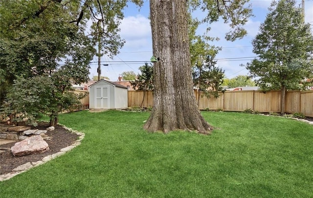 view of yard with an outbuilding, a fenced backyard, and a shed