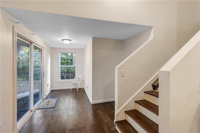 doorway to outside featuring dark hardwood / wood-style flooring