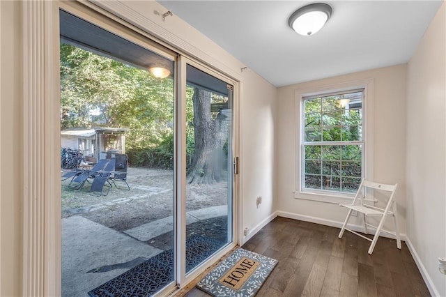 doorway with dark hardwood / wood-style floors