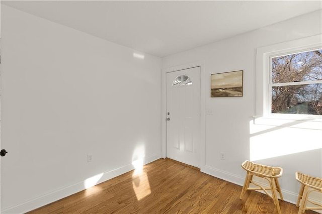 entrance foyer with hardwood / wood-style flooring