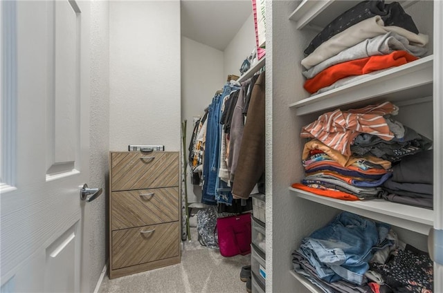 spacious closet featuring light colored carpet