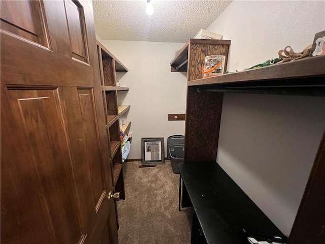 walk in closet with dark carpet