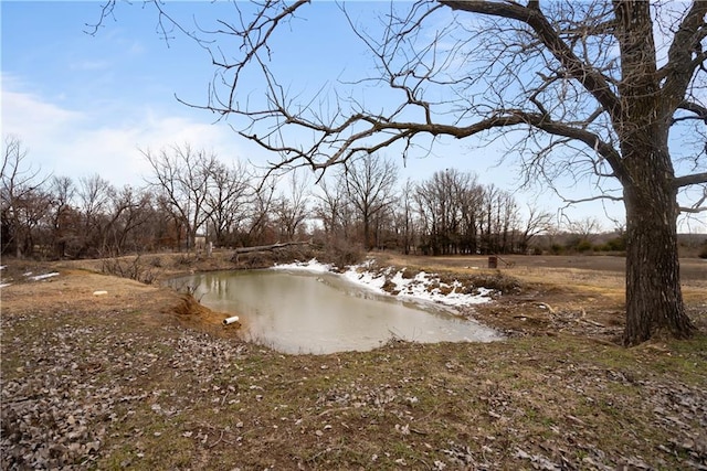 view of yard featuring a water view