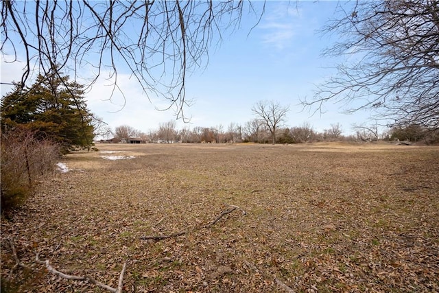 view of yard featuring a rural view