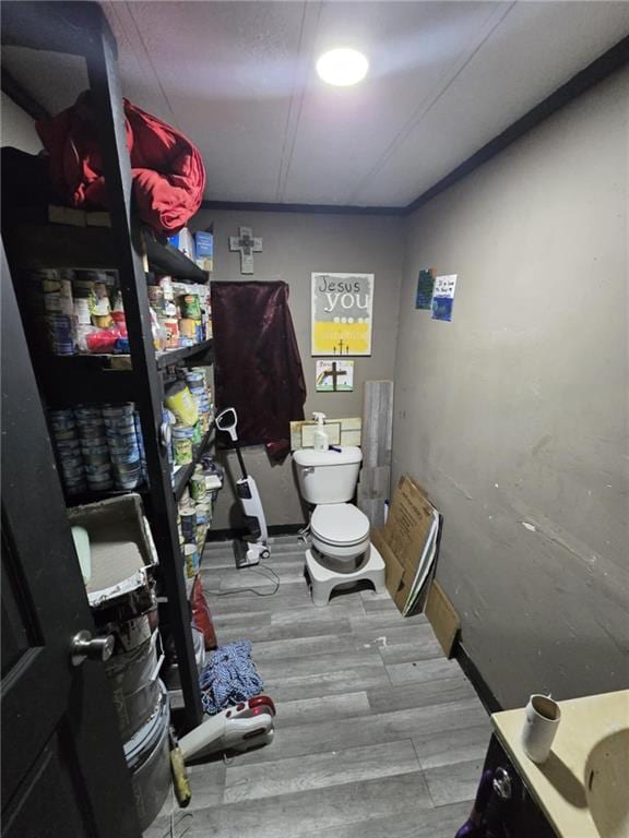 bathroom featuring toilet, vanity, and hardwood / wood-style flooring