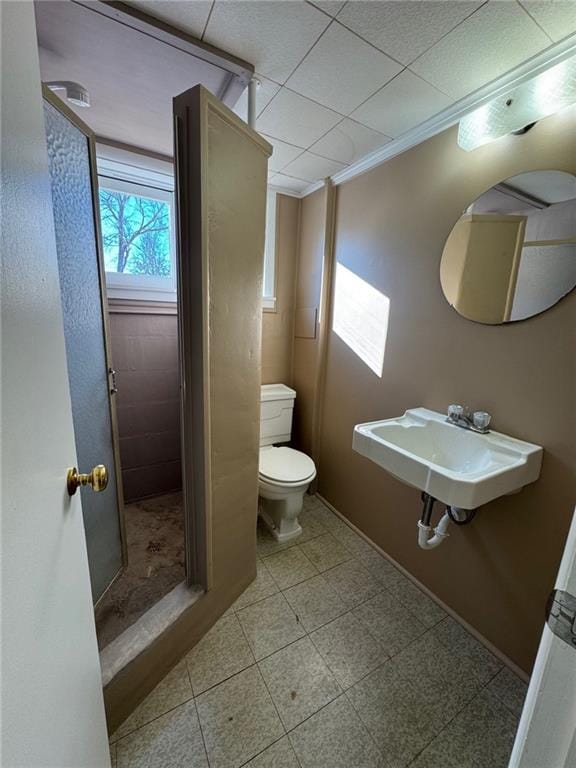 bathroom featuring toilet, ornamental molding, and sink