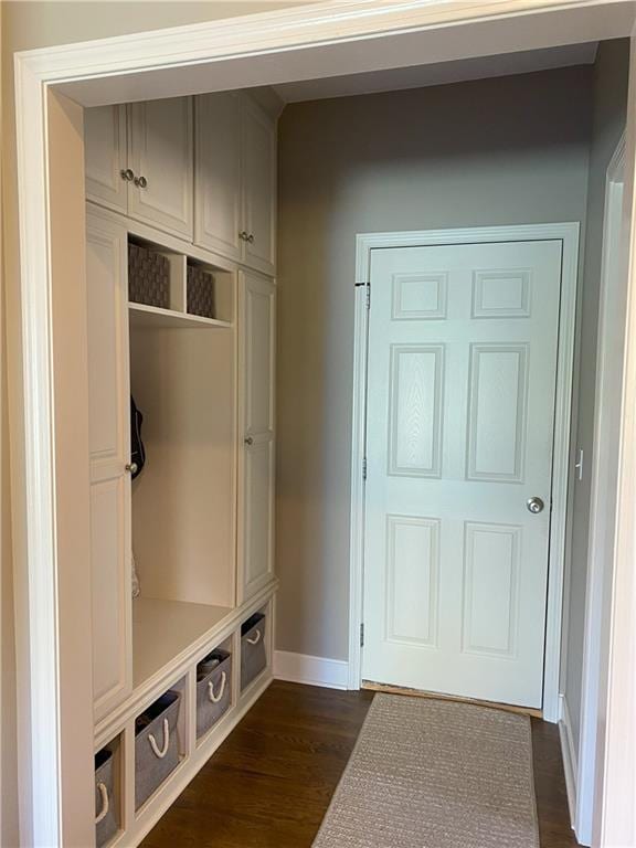 mudroom with dark wood-type flooring