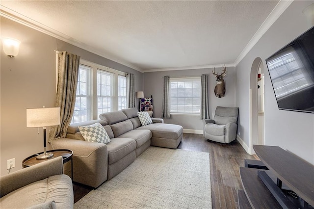 living room featuring crown molding and wood-type flooring