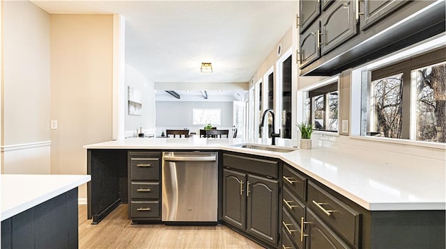 kitchen featuring dishwasher, sink, and light hardwood / wood-style flooring