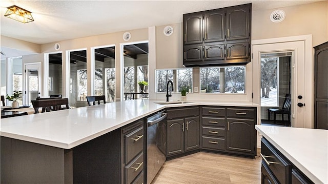 kitchen featuring dishwasher, light hardwood / wood-style flooring, and sink