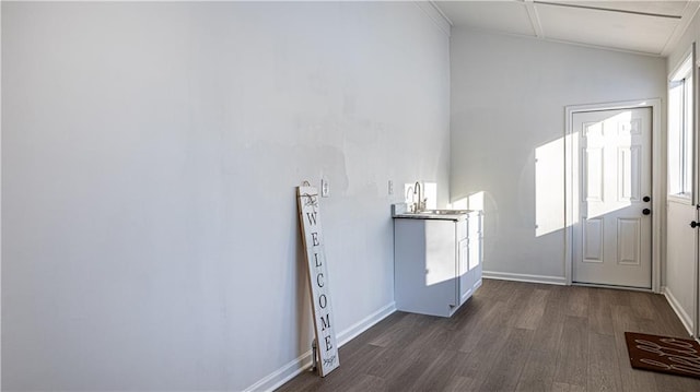 foyer entrance featuring dark wood-type flooring and sink