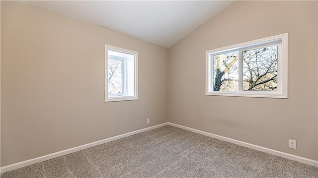 unfurnished room featuring a wealth of natural light, lofted ceiling, and carpet flooring