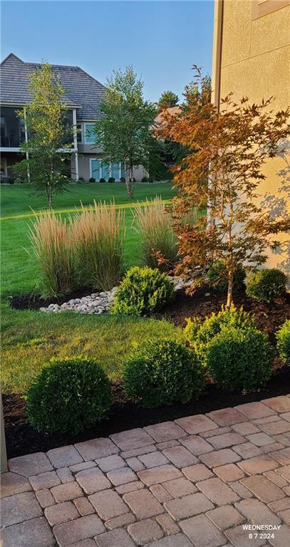 view of yard with a patio