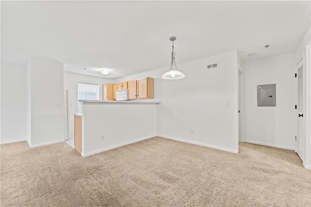 unfurnished room featuring light carpet and electric panel