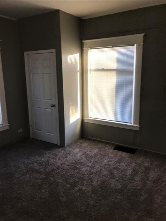 spare room with carpet floors