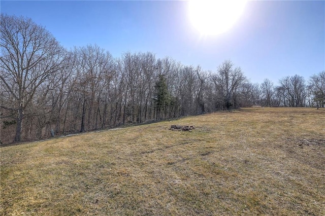 view of yard with a rural view