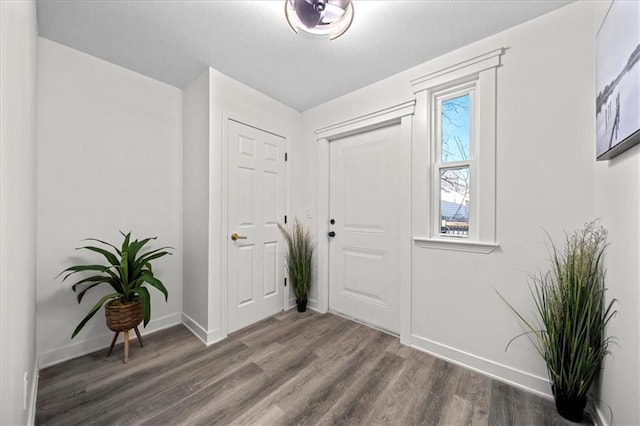 entryway featuring dark wood-type flooring