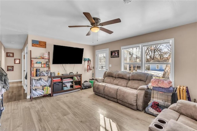 living room featuring ceiling fan, radiator, and light wood-type flooring