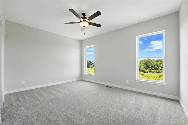 9616 N Amoret Ave, Kansas City, MO 64154 - photo 17