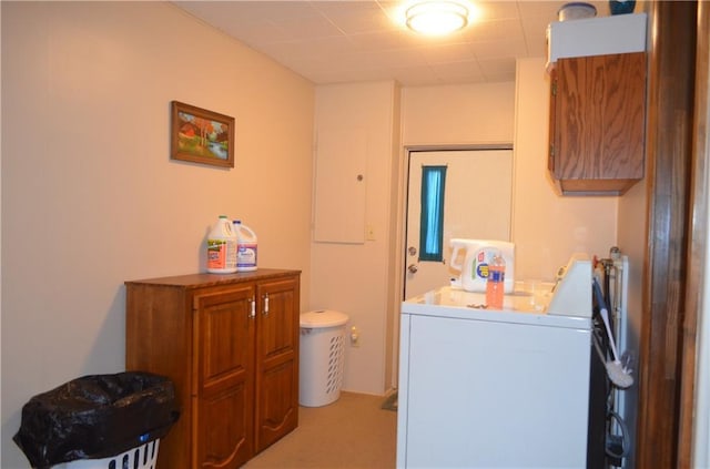 clothes washing area featuring light carpet