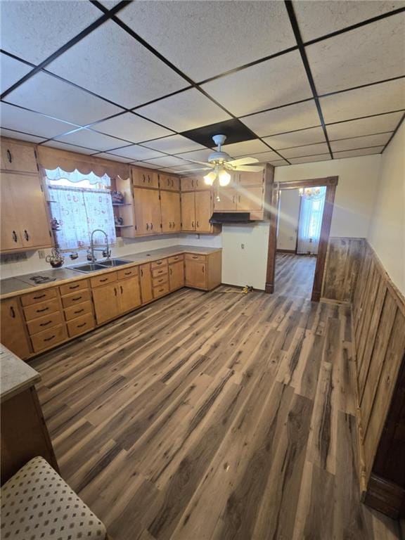 kitchen with a drop ceiling, sink, and hardwood / wood-style flooring