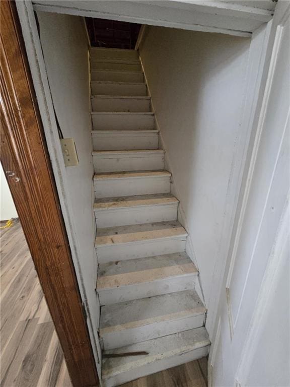 staircase featuring wood-type flooring