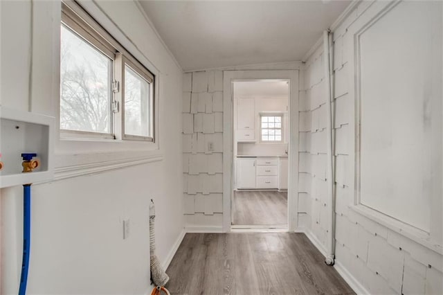 hallway featuring hardwood / wood-style floors and crown molding