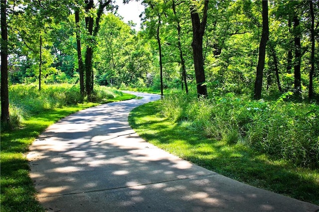 view of property's community