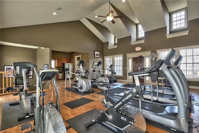 exercise room featuring hardwood / wood-style flooring, high vaulted ceiling, and ceiling fan