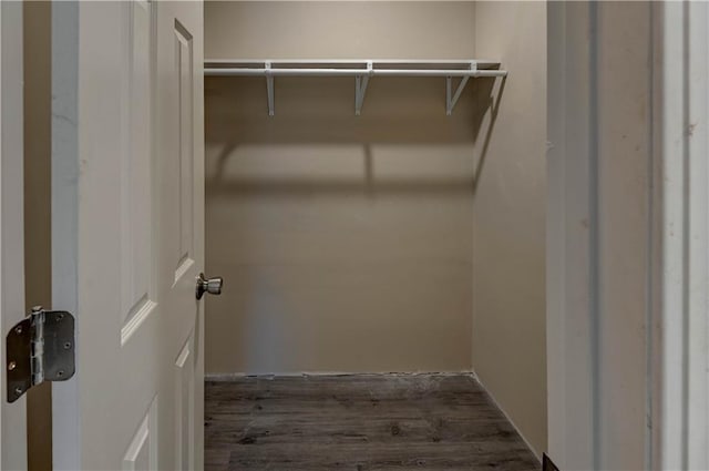 walk in closet featuring dark hardwood / wood-style flooring