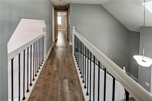 corridor with lofted ceiling and dark hardwood / wood-style floors