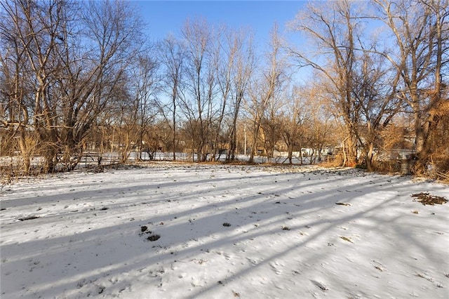 view of yard layered in snow