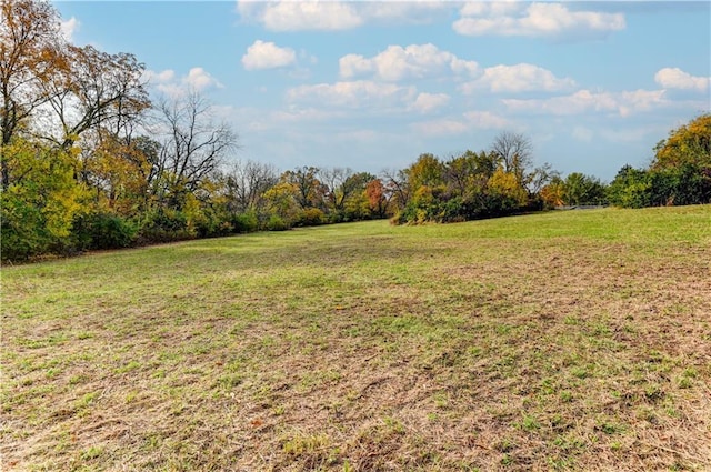 view of yard featuring a rural view