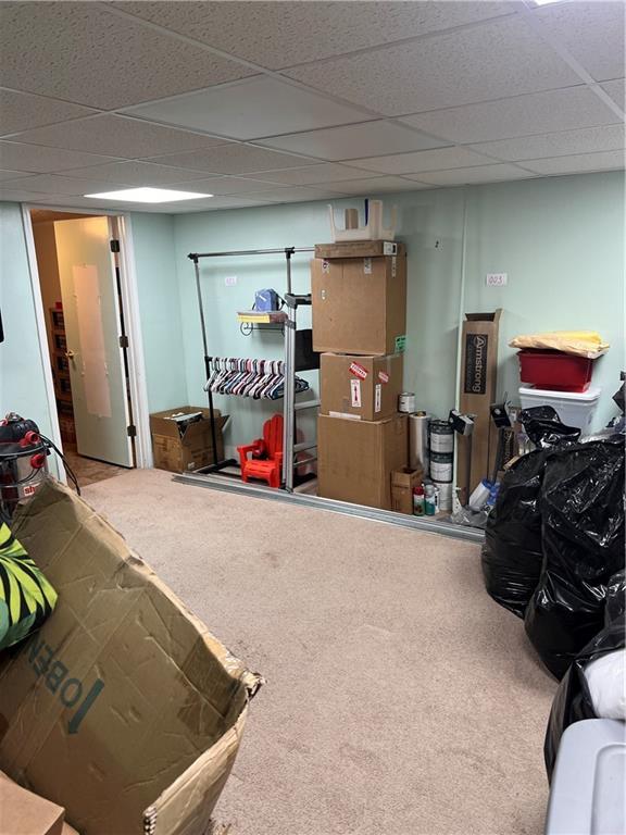 basement with carpet and a paneled ceiling