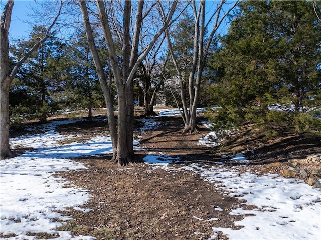 view of snowy yard