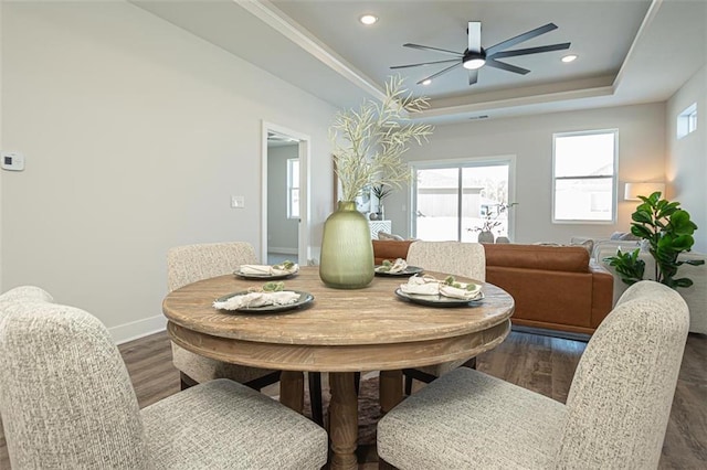 dining room featuring plenty of natural light, a tray ceiling, and dark hardwood / wood-style flooring