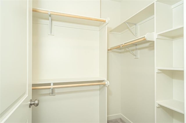 view of spacious closet