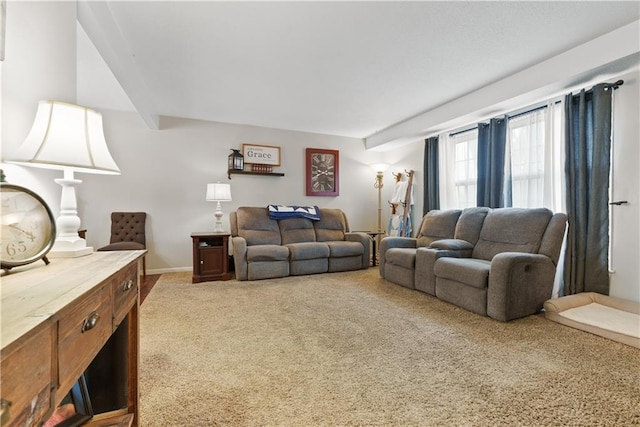 view of carpeted living room