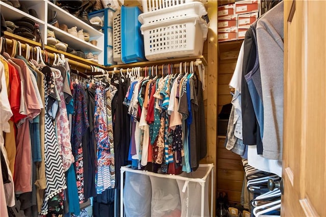 view of spacious closet