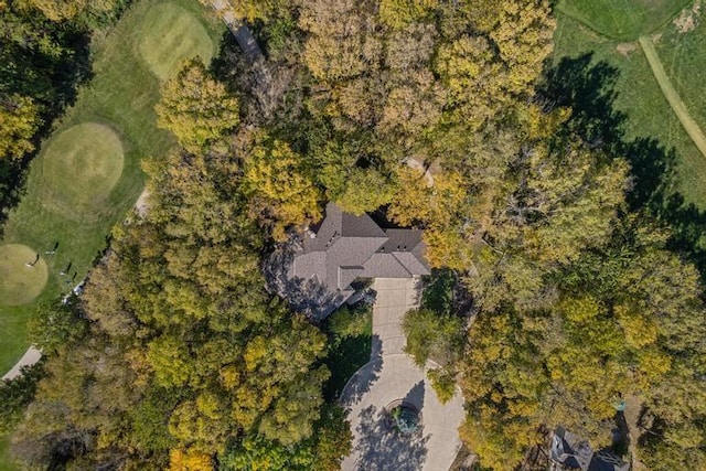 bird's eye view with a view of trees