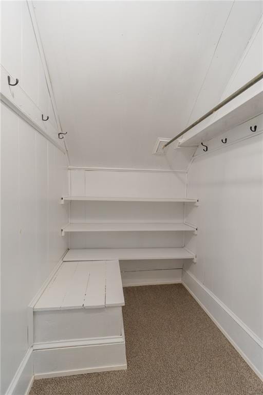 spacious closet with carpet flooring