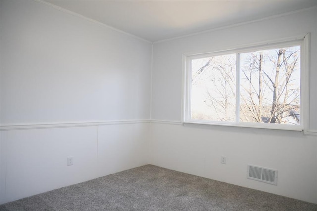 spare room with carpet floors, plenty of natural light, and ornamental molding