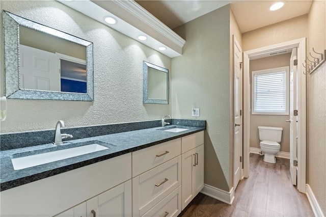 bathroom featuring hardwood / wood-style flooring, vanity, and toilet