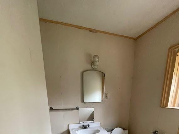 bathroom featuring sink, toilet, and ornamental molding