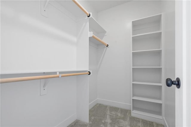 walk in closet with light colored carpet