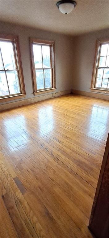 spare room with a healthy amount of sunlight and light hardwood / wood-style flooring